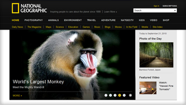 ddos在线压力测试平台